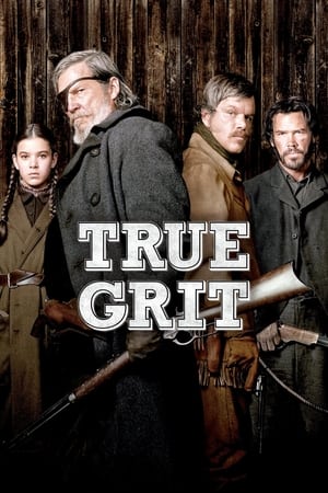 True Grit (2010) Hindi Dual Audio 720p BluRay [950MB]